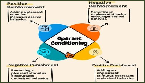 Is operant conditioning a theory?