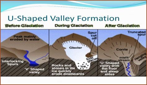 What are U shaped valleys formed by?